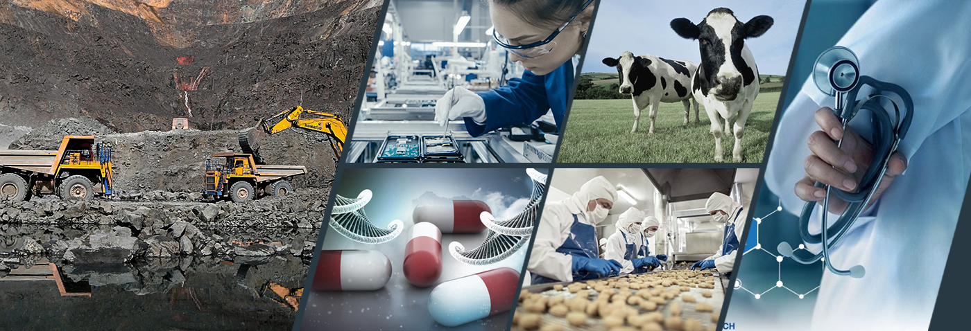 Oil and Gas Industry