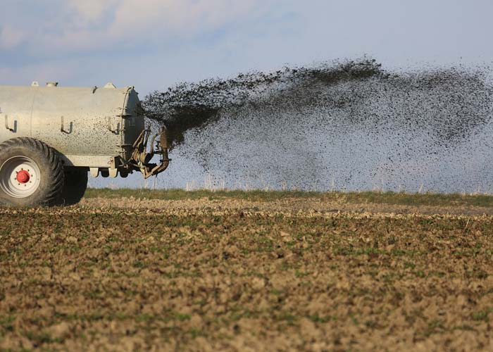 Agriculture Industry