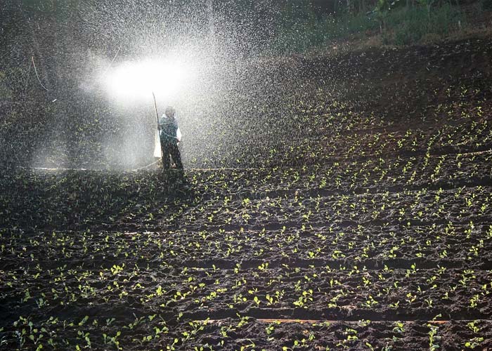 Agriculture Industry