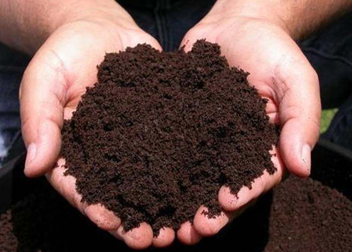 Agriculture Industry