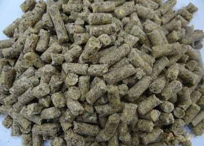 Diary Industry Industry