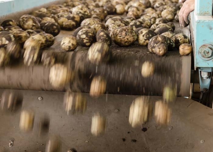 Food Industry Industry