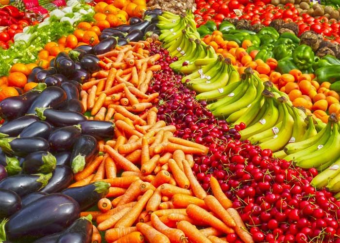 Food Industry Industry